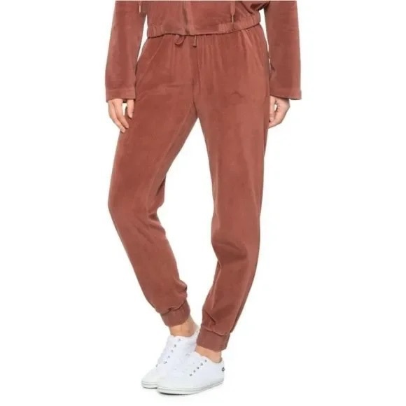 Young Fabulous & Broke Velour Joggers Size S Cherrywood Pockets Drawstring Pants - Picture 1 of 10